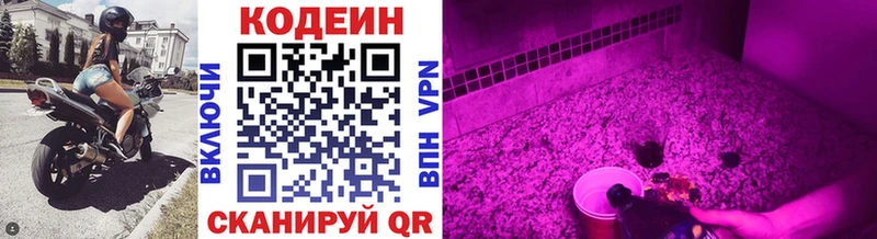 ОМГ ОМГ как войти  Пионерский  Кодеин Purple Drank 
