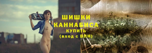 стаф Белокуриха
