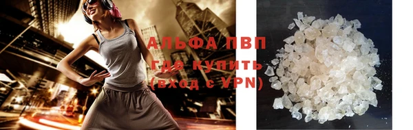 стаф Белокуриха