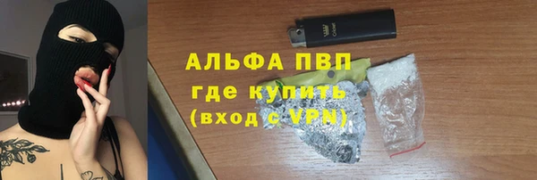 стаф Белокуриха