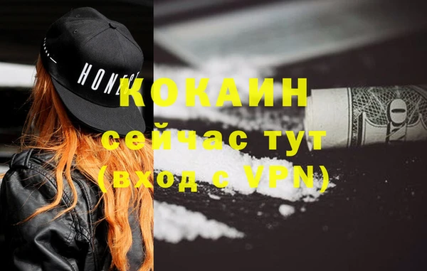 стаф Белокуриха
