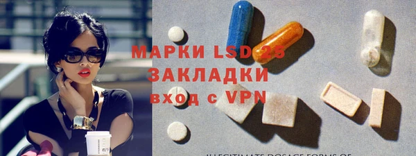 стаф Белокуриха