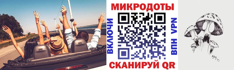 купить наркотики сайты Пионерский маркетплейс официальный сайт Псилоцибиновые грибы Psilocybine cubensis
